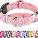Hikiko Martingale Collar for Dogs Adjustable Soft Nylon Dog Collars with Cute Patterns for Small Medium Large DogPink Butterfly,Medium