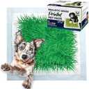 Big Dawg Pet Supplies Absorbent Puppy Pee Pads for Dogs & Cats – 24x24” Disposable Pet Pads – Handy Grab-n-Go Box – Potty Training & Housebreaking Supplies – Color, Grass – 40pc