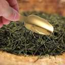 Operitacx Short Handle Dessert Spoon Stainless Steel Ice Cream Scoop Tea Coffee Sugar Spoon for Party Gathering and Everyday Use