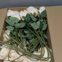 DREAMLOOM 50pcs Roses Artificial Flowers, Fake Roses Realistic with Long Stems Real Touch Silk Flowers Bouquet for Valentine's Day Wedding Anniversary DIY Floral Arrangement Gifts, Champagne