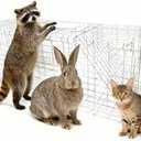 Generic Large Animal Live Trap, 24 Inch Humane Cage, Heavy-Duty Galvanized Steel Mesh for Raccoons, Cats, Groundhogs, Squirrels, Skunks, Chipmunks, Moles