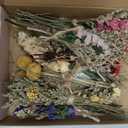 10 Pack Forget Me Not Dried Flowers Bouquets Natural Dry Flower with Stem Mini Dried Embossing Flower Dry Floral Arrangement for Vase, Crafts, Table Centerpieces, DIY, Photo Prop, Wedding, Home Decor