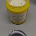 M&SENSE Limocello Summer Scented Candle, 19.4oz 110 Hours Long Lasting Burn Non Toxic Natural Soy Wax Lemon Highly Scented for Home Decor, 2 Wick Relaxing Candle Gifts for Yoga Spa Meditation