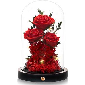 DENIMOMO Valentines Day Flowers Roses Gifts for Women Her,Forever Preserved Rose in Glass Dome, Valentines Anniversary Birthday Real Roses Gifts for Wife Women Girlfriend Best Friend/Red