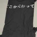 Go Away Written in Japanese Writing Short Sleeve T-Shirt, Small
