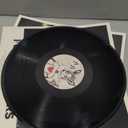 FUNNY little FEARS, Vinyl