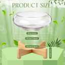 Baderke 2 Pcs Lotus Bowl Planter with Base 5.9 inch Glass Hydroponic Planter Water Lily Bowl for Planting Aquatic and Indoor Plants Clear Terrarium Household Basin Decor