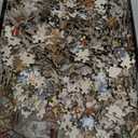 Dark Horse Deluxe Dragon Age: World of Thedas Map Puzzle, Multicolor