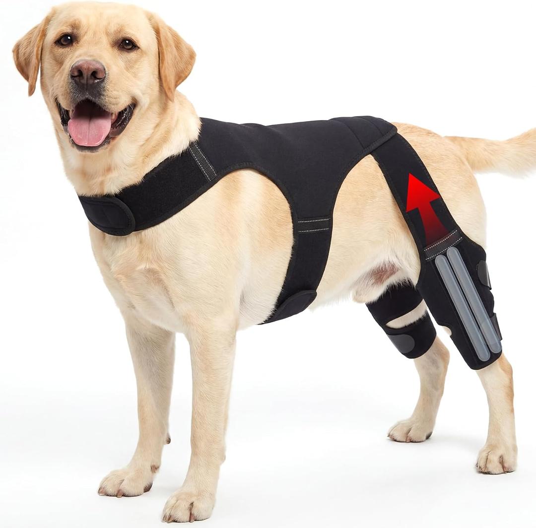 Dog Knee Brace for Back Leg Hind Leg ACL Dog Brace Support Adjustable Double Dog Leg Brace with Stabilizers, Helps with Torn CCL, Luxating Patella, Ligament Injuries,L