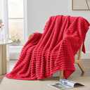 BEDELITE Fleece Throw Blanket for Couch, 300GSM Soft & Warm Fluffy Queen Blanket, Decorative and Giftable Striped Red Blankets for Women, Men, 50"x60"