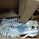 NLShan Human Skeleton Model for Anatomy -Life Size Anatomical Skeleton Medical Model with Nervous System 70.8 in with Rolling Stand for Study and Display Colorful Posters