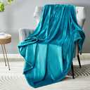DREAMNINE Soft Cozy Plush Fleece Throw Blanket 50" x 60", Solid Shag Minky Lightweight Lap Fuzzy Flannel Blanket for Bedroom, Luxury Washable Warm Velvet Blankets for Couch Sofa Pet, Breathable, Teal Pack Of 2