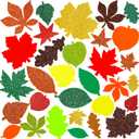2 x Winlyn 504 Pcs Assorted Foam Fall Leaf Stickers - Self-Adhesive Bulk Maple Oak Shaped Glitter Leaves for Kids Craft, Gift, Halloween, Thanksgiving, Scrapbooking, Cards Decoration