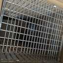 HAVAHART 1079SR Large 1-Door Humane Catch and Release Live Animal Trap Cage - Live Raccoon Trap, for Bobcats, Beavers, Dogs, & More