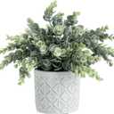MyGift Artificial Eucalyptus Plant in Modern Gray Concrete Pots with Geometric Embossed Pattern (1, White)