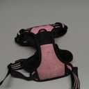 rabbitgoo Dog Harness No Pull with 2 Leash Clips, Adjustable Soft Padded, Reflective Oxford No Choke Pet Vest with Easy Control Handle for Medium Sized Dogs, Pink, M