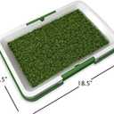 Artificial Grass Pee Pad Set for Dogs (Synthetic Plastic Grass) - Reusable Puppy Essential for Potty Training Small Pets Indoors and Outdoors by PETMAKER (Green)