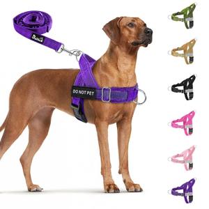 SlowTon No Pull Dog Harness - Heavy Duty Dog Harness and Leash Set for Dogs, Reflective Tactical Harness with Soft Padded and Front Clip for Easy Walk and Training (Purple, XL)