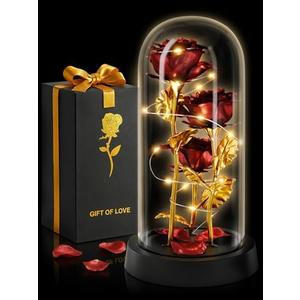 Rose in Glass Dome with LED Lights in Gift Box — Mothers Day Gifts for Mom Grandma, Birthday Gifts for Women, Lighted Glass Rose — Romantic Forever Flowers, Battery Powered Home Decoration (Red)