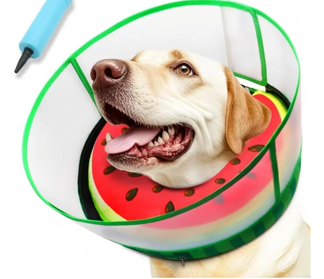 Upgraded Inflatable Dog Cone Collar with Transparent Anti-Licking Shield, Adjustable Elizabethan Collar for Medium Large Dogs, 2-in-1 Design with Detachable Shield and Soft Padding (L, Watermelon). no pump