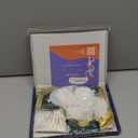 Play with Matisse: Creative Play Kits