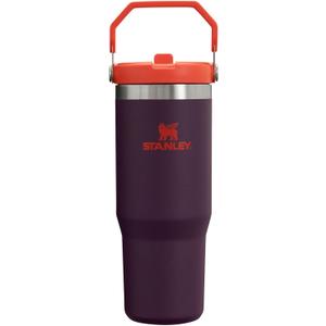 Stanley IceFlow Flip Straw Tumbler with Handle 30 oz | Twist On Lid and Flip Up Straw | Leak Resistant Water Bottle | Insulated Stainless Steel |BPA-Free | Plum