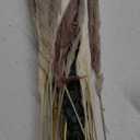 110 PCS of Boho Pampas Grass Decor, Naturally Dried Pompas, Bunny Tails Dried Flowers, and dried eucalyptus. Perfect for Weddings, Boho Party Decorations, and Table Decor.