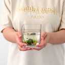 Set of 6 Square Glass Vases for Centerpieces 4" x 4" x 4" Clear Short Vases, Flower Vase, Plant Terrariums, or Candle Holders for Wedding Centerpieces, Office Decor, Home Dcor, Parties