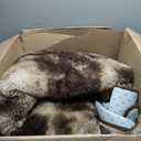 Shag Area Rugs for Bedroom Living Room,8X10 Ultra Soft Fluffy Area Rugs for Dorm,Indoor Carpet Nursery Rugs for Kids Girls Room Home Decor, Mottling Brown