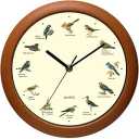 Belinlen Singing Bird Wall Clock 12 Inch of The Bird Names and Songs