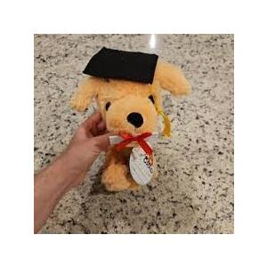 7 inch Graduation Bear Plush,Stuffed Figure Graduates Gifts for Fans Room Decor (Bear-01-khaki-black-18cm)