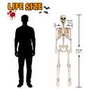 LINAYE 2 Pack 5.4ft Life Size Halloween Skeleton with Movable Joints