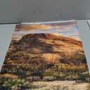 AWERT Reptile Habitat Background Blue Sky Oasis Cactus Sun and Desert Terrarium Background 60x24 inches Durable Polyester Background