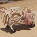 SUNNYLiFE Oyster Oyster Beach Cart, Heavy Duty Steel Frame, PP and Iron with 600 Doxford Material, Foldable, 37.4 x 29.53 x 21.65 inches, Rear Opening, 75 kg Load Capacity, PVC Wheels