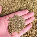 Horticultural Akadama Soil - Cactus Bonsai Succulent Soil Additive for Plants, Landscaping, Vase Fillers (18 LB, 1/8 inch Soft-Grade Akadama)
