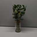 Briful Artificial Eucalyptus Stems in Glass Vase with Faux Water, 14" Fake Plant Eucalyptus Leaves for Home Bathroom Office Farmhouse Wedding Centerpiece Dcor (Clear)