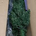 6ft Snow Flocked Artificial Pencil Christmas Tree, Unlit Slim Xmas Tree with Pine Cones, PVC Branch Tips Metal Stand, for Indoor Holiday Home/Office Decor