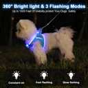 Light Up Dog Harness,Rechargeable LED Dog Harness for Small Medium Large Dogs,Reflective Lighted Safety Vest for Night Walking & Camping,Lightweight & Adjustable,Blue,XS