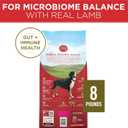 Purina ONE Dry Dog Food Lamb and Rice Formula - 8 lb. Bag (EXP 02/01/27)