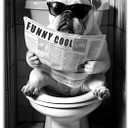Bathroom Dog Canvas Wall Art Funny Toilet Black And White Animal Wall Decor Pictures Cool Unique Dog Bathroom Reading Newspaper Painting Poster Prints for Bathhouse Shop Home Decor (10"L x 8"W)