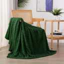 Green Fleece Throw Blanket 6080 for Couch Sofa Bed, Super Soft Cozy Plush Microfiber Flannel Blanket with Stripes Design Lightweight for Adults, Woman, Girls