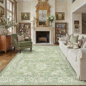 WondRg 8x10 Green Neutral Area Rug