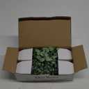 Der Rose Pack of 4 Fake Plants Mini Artificial Greenery Potted Plants for Home Decor Indoor Office Table Room Farmhouse Bathroom Decor (Grey)