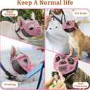 Mayerzon Short Snout Dog Muzzle for French Bulldog with Full Pant Design to Prevent Eating Biting, Soft Mesh Dog Muzzle for Shih Tzu Pug English Bulldog for Grooming Walking, Allow to Drink and Feed, S