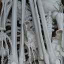 JOYIN 5.6 FT Halloween Posable Life Size Skeleton, Full Body Realistic Bones with Movable Joints, Giant Skeletons Halloween Decorations for Indoor Outdoor Haunted House Props, Spooky Scene Party Decor 