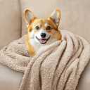 1 Pack Calming Blanket Fluffy Premium Fleece Pet Blanket Soft Sherpa Throw for Dog Puppy Cat Beige Large (41" x31'')