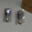 12V Edison Bulb Low Voltage Warm White 2700K E26 Base, DC/AC 12V 24V 36V LED Light Bulbs 40W Equivalent Smoky Grey Glass for RV Camper, 2 Pack (St64-smoke Grey 4w 2700k 2pack)