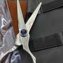 5.0 inch 440C Sliver Salon Hair Cutting Scissors Barber Shears with Bag- Perfect for Professional Hairdresser