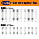 3 x 520mm 1A Fast-Blow Glass Fuse 250V 1 Amp Fuse F1AL250V 20PCS Automotive Fuses Assortment Kit Cartridge Fuse