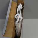 Coffee Mug Warmer for Desk with Auto Shut Off, Coffee Cup Warmer for Desk Office Home-Coffee Gifts (Oval 4.8 inch)